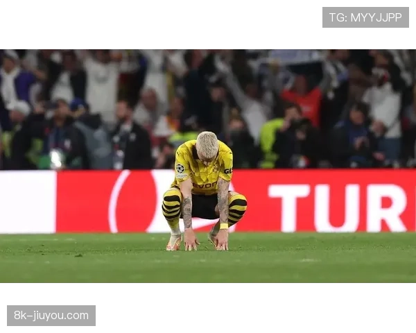 聚焦老将罗伊斯：职业生涯末期的最后一次欧冠冲锋